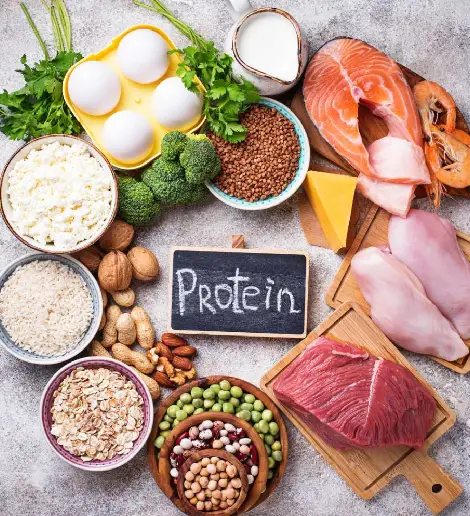 Nutrition and Wellness